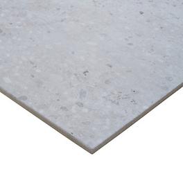 Reclaimed Grey Matt Concrete effect Porcelain Wall & floor Tile Sample offers at £5 in TradePoint
