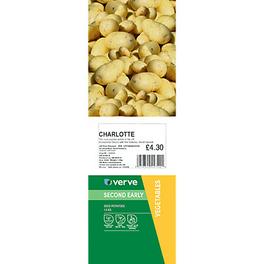 SEED POTATO CHARLOTTE 1.5KG offers at £2.15 in TradePoint
