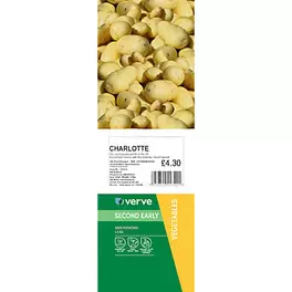 SEED POTATO CHARLOTTE 1.5KG offers at £2.15 in TradePoint