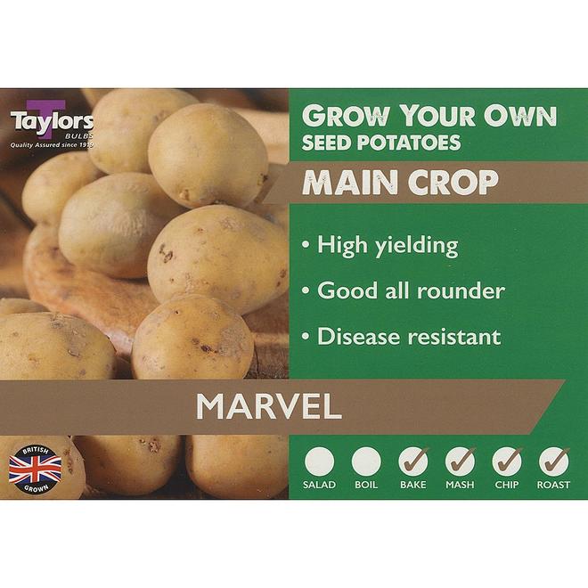 Marvel Main Crop Seed Potatoes (Bag of 12) offers at £2.79 in Webbs