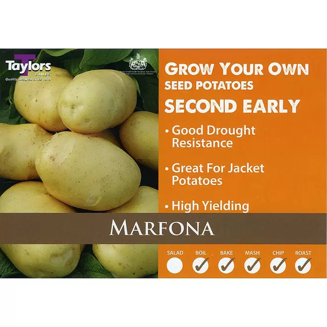 Marfona (Second Early) Seed Potatoes offers at £5.99 in Webbs