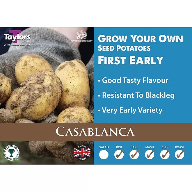 Casablanca (First Early) Seed Potatoes offers at £2.29 in Webbs