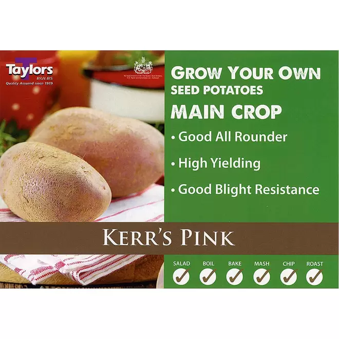 Kerr's Pink (Main Crop) Seed Potatoes offers at £2.29 in Webbs