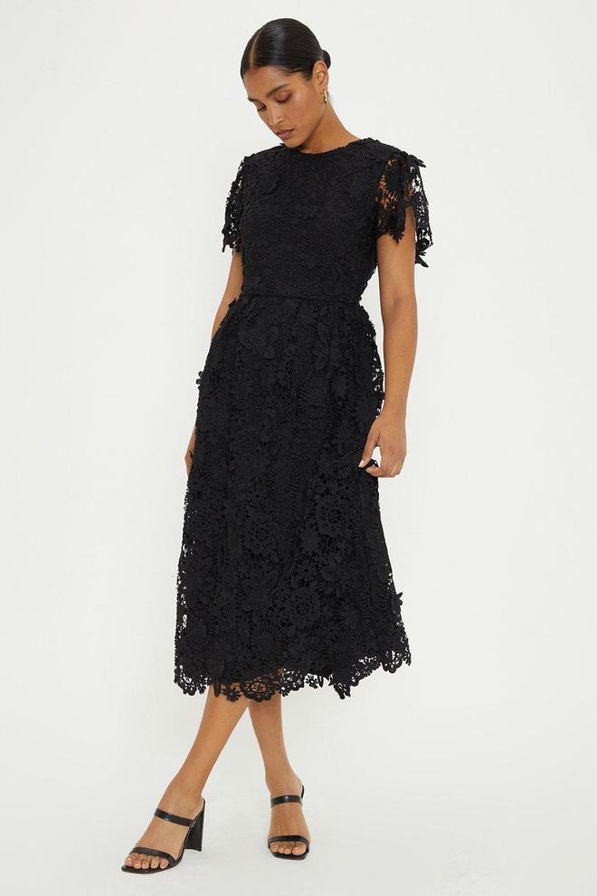 Lace Midi Dress offers at £42.5 in Dorothy Perkins