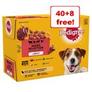 48 x 100g Pedigree Wet Dog Food - 40 + 8 Free! * offers at £15.89 in Zooplus