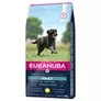 Eukanuba Adult Large Breed - Chicken offers at £39.99 in Zooplus