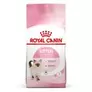 Royal Canin Kitten offers at £6.59 in Zooplus