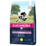 Eukanuba Puppy Medium Breed - Chicken offers at £10.89 in Zooplus