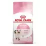 Royal Canin Kitten offers at £6.59 in Zooplus