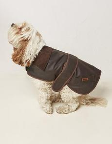 Sussex Dog Coat offers at £16 in Fat Face