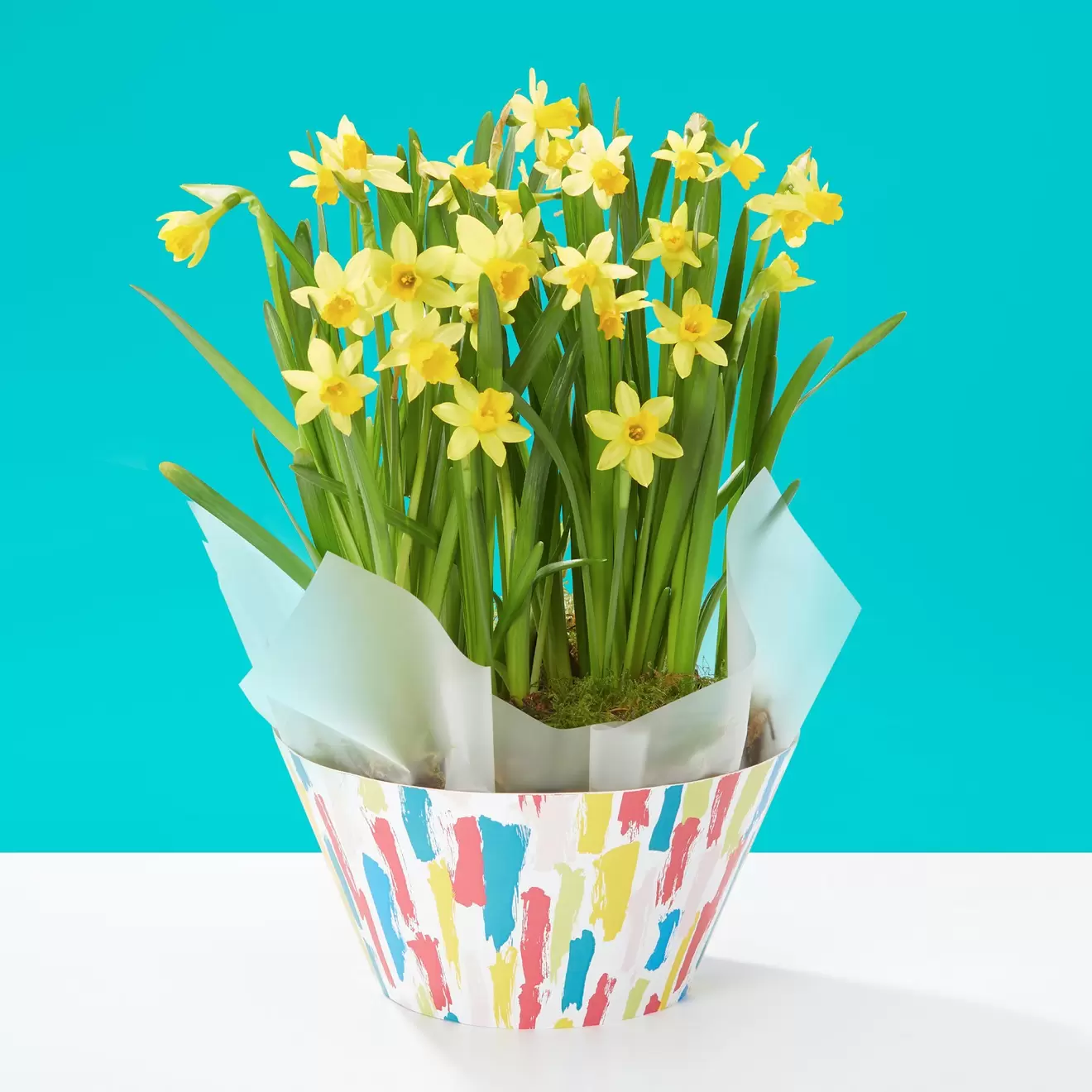 Cheerful Daffodils - Plant Of The Month offers at £30 in Flying Flowers