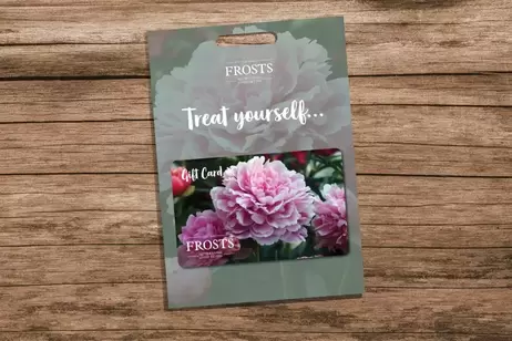 Peony Gift Card offers at £20 in Frosts Garden Centres