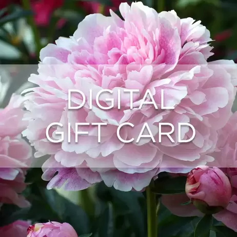 Digital Gift Card - Peony offers at £20 in Frosts Garden Centres