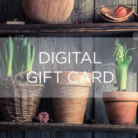 Digital Gift Card - Potting Shed offers at £20 in Frosts Garden Centres