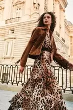 Brown Leopard Animal Print Long Sleeve Boho Tier Maxi Dress offers at £24 in Gap