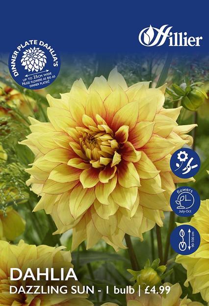 Dahlia Dazzling Sun Tubers offers at £4.99 in Hillier Garden Centres