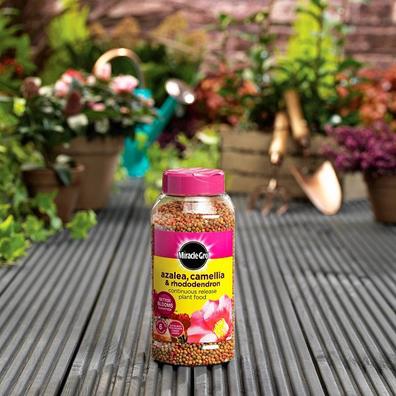 Miracle-Gro Ericaceous Shaker Jar 900g offers at £8.99 in Hillier Garden Centres
