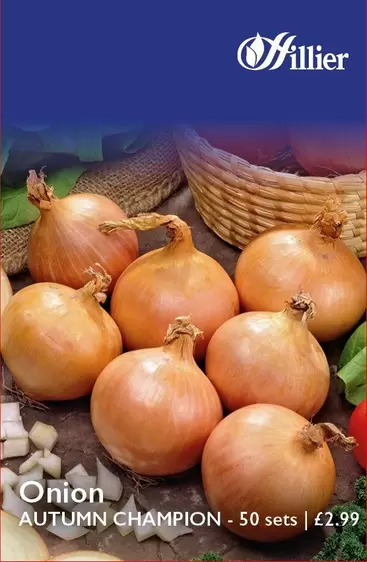 Autumn Champion Onion Bulbs offers at £2.99 in Hillier Garden Centres