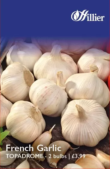 French Garlic Topadrome Bulbs offers at £3.99 in Hillier Garden Centres