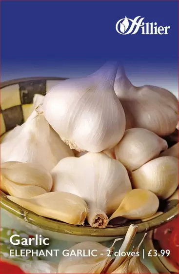 Elephant Garlic Bulbs offers at £3.99 in Hillier Garden Centres