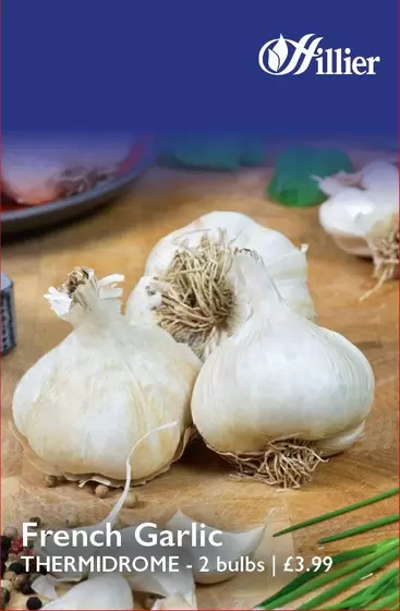 Thermidrome French Garlic Bulbs offers at £3.99 in Hillier Garden Centres