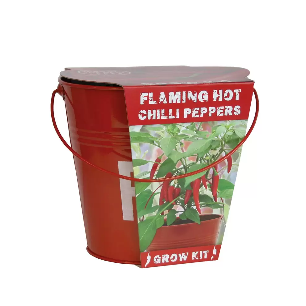 Flaming Hot Fire Bucket Chilli Pepper Seed Grow Kit offers at £8.99 in Hillier Garden Centres