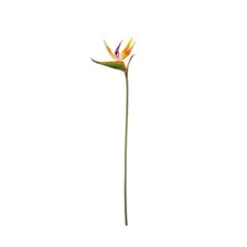 Small Bird of Paradise 65cm x 14cm offers at £3.49 in Hobbycraft