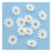 Daisy Heads 12 Pack offers at £3.49 in Hobbycraft