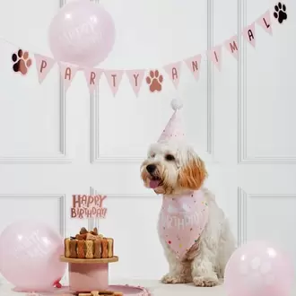 Let's Party Pet Birthday Kit - Pink offers at £3.49 in Home Bargains