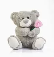 Mother's Day Grey Bear Plush offers at £5.99 in Home Bargains