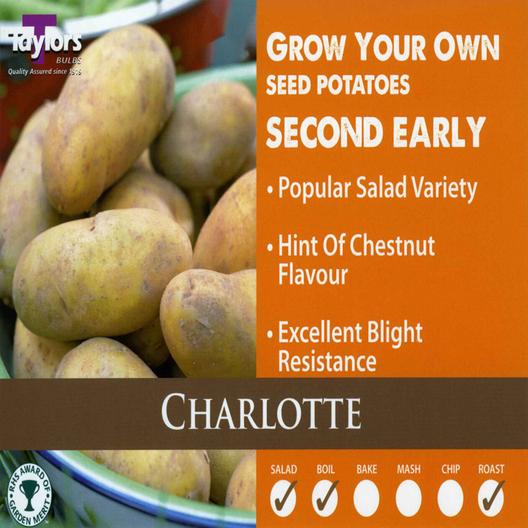 Seed Potato Charlotte offers at £3.99 in Klondyke